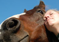 Equine Therapy Drug Rehab