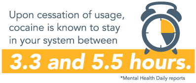 DrugRehab.org How Long Does Cocaine Stay In Your System_ Cocaine Is Known To Stay In Your