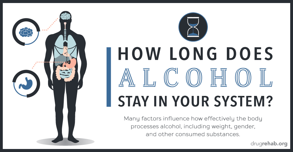 DrugRehab.org How Long Does Alcohol Stay in Your System