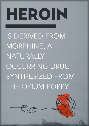 DrugRehab.org Understanding A Heroin Use Disorder Derived From Morphine