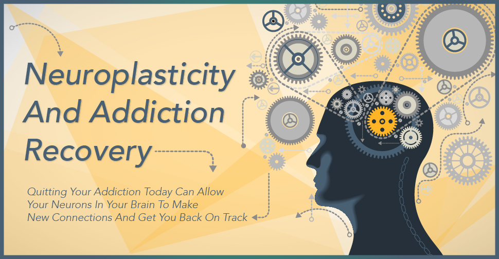 Neuroplasticity And Addiction Recovery