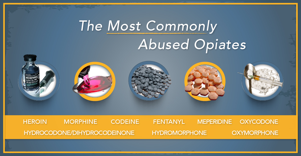 The Most Commonly Abused Opiates