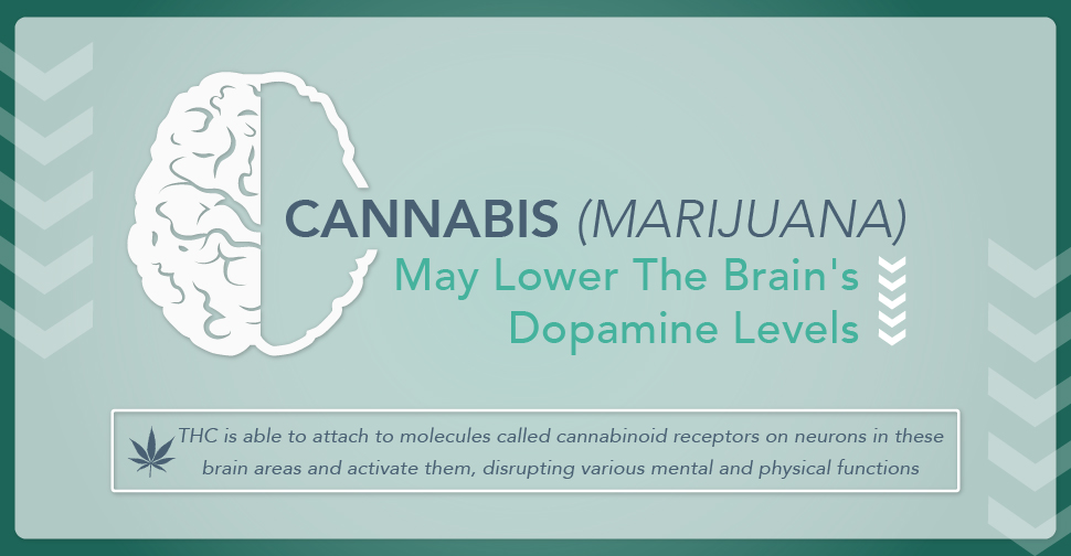 Cannabis Lower Dopamine Level