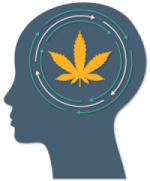 Signs of Marijuana Use Cognitive Impairment