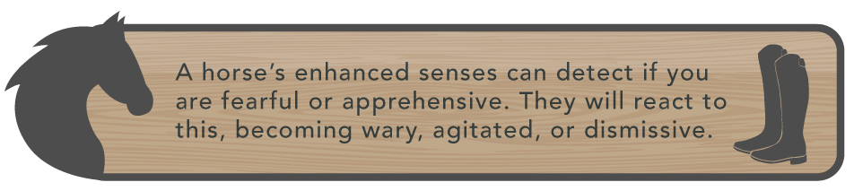 Utilizing Equine Therapy In Addiction Treatment Enhanced Senses