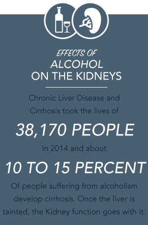 Drugrehab.org The Effects of Drugs and Alcohol on the Kidneys Alcohol