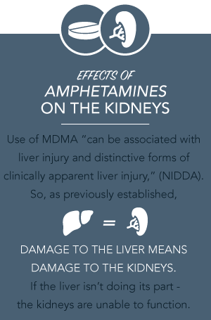 Drugrehab.org The Effects of Drugs and Alcohol on the Kidneys Amphetamines