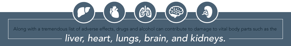 Drugrehab.org The Effects of Drugs and Alcohol on the Kidneys Liver, Heart
