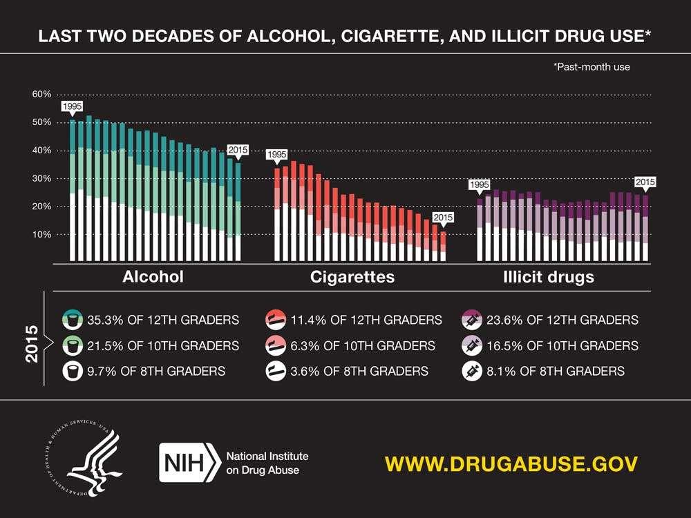 DrugRehab.org The Addicted Teen_ chart
