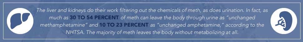 DrugRehab.org How Long Does Methamphetamine Stay in Your System_ Liver and Kidney