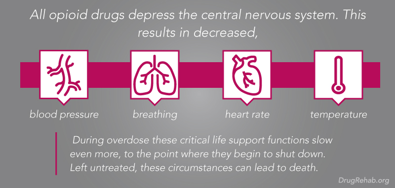 DrugRehab.org Is Narcan Available Over-The-Counter In The United States_ Results in Decreased